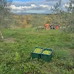 La Collina * Siena