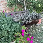 La Collina Siena