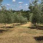 Feriegård La Collina *