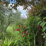 La Collina Feriegård Siena