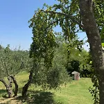 La Collina