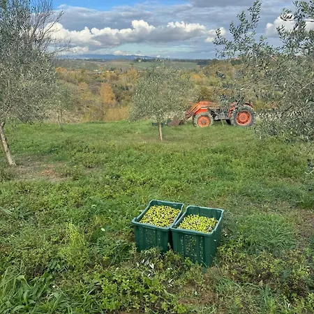 La Collina * Siena