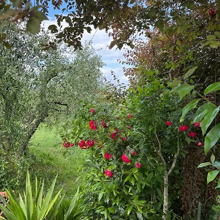 La Collina Bauernhof Siena